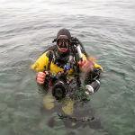 Zaključeno Državno prvenstvo v podvodni fotografiji 2013 in DRM Open 13